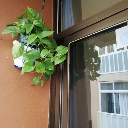 Apartment Babelia Las Palmas de Gran Canaria