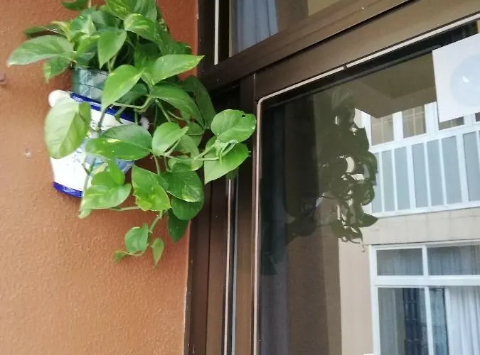 Apartment Babelia Las Palmas de Gran Canaria